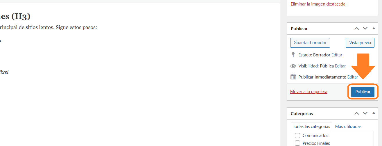 Botón de publicar en WordPress