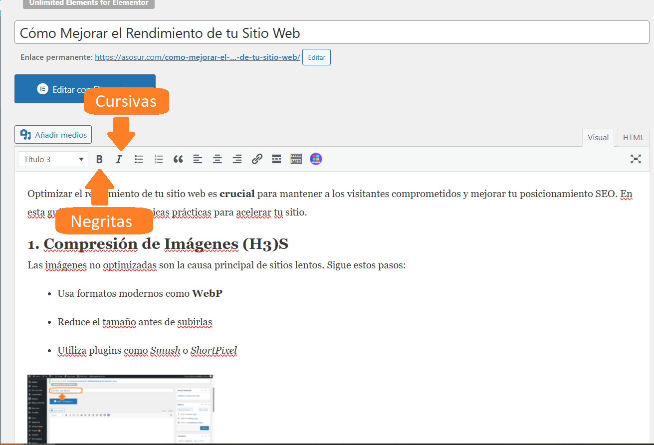 Opciones de formato de texto en el editor negritas y cursivas