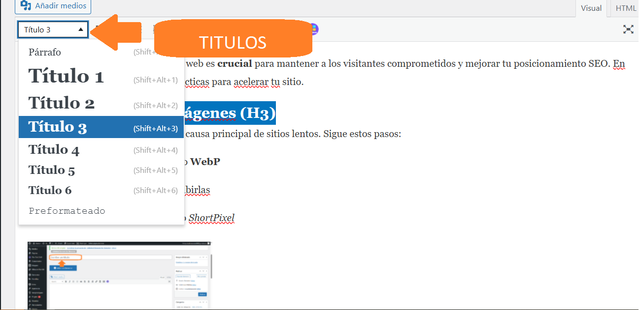 Opciones de formato de texto en el editor, agregar titulos H1,H2,H3 ....